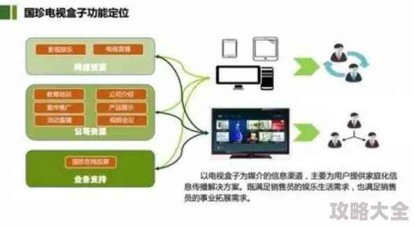 2025年热门指南：帝国时代2局域网联机操作详解与最新对战平台推荐