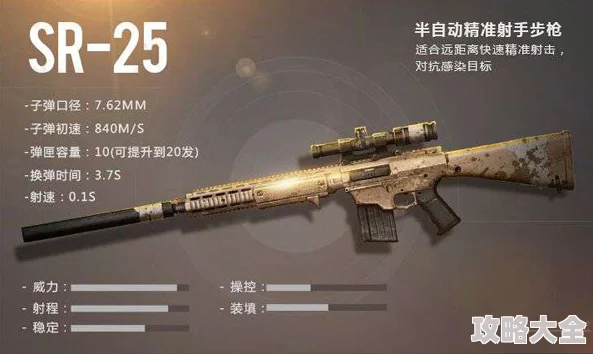 三角洲行动SR-9射手步枪：全面解析SR-9步枪的详细参数与信息