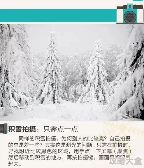 桃源深处有人家雪景喵趣全攻略：掌握雪景喵趣玩法技巧